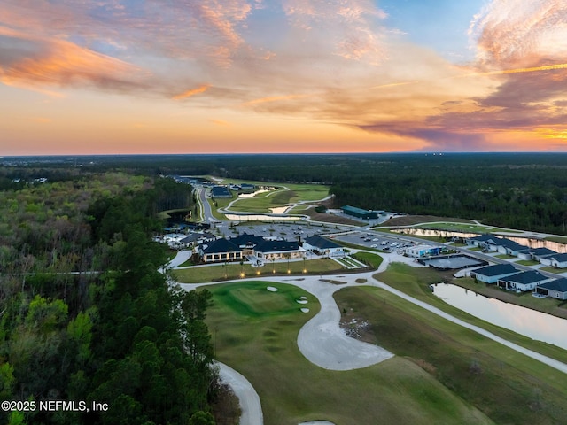 birds eye view of property featuring a water view and a view of trees