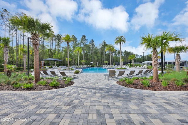 pool featuring a patio