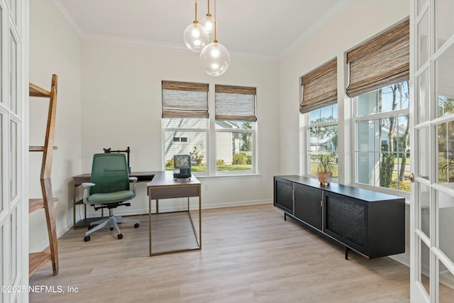 office space featuring ornamental molding, baseboards, and light wood finished floors