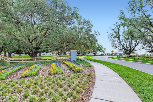 2991 Granary Park Ave, Green Cove Springs, FL 32043 - view of property's community