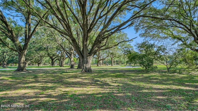2991 Granary Park Ave, Green Cove Springs, FL 32043 - view of green lawn