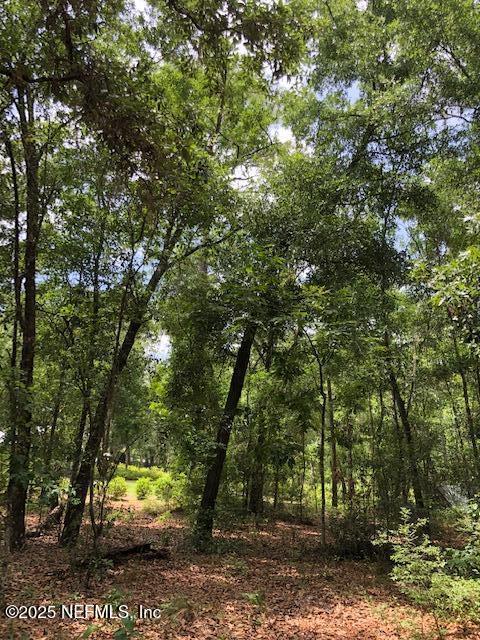 3075 Bishop Estates Rd, Saint Johns, FL 32259 - photo 9