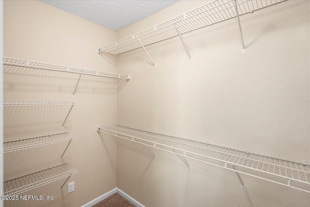 16057 Tisons Bluff Rd, Jacksonville, FL 32218 - photo 29