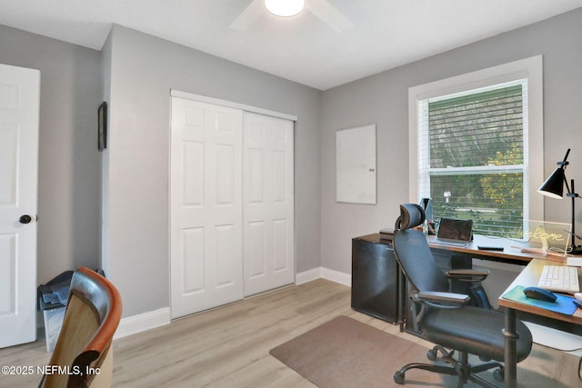 office space featuring baseboards, a ceiling fan, and light wood-style floors