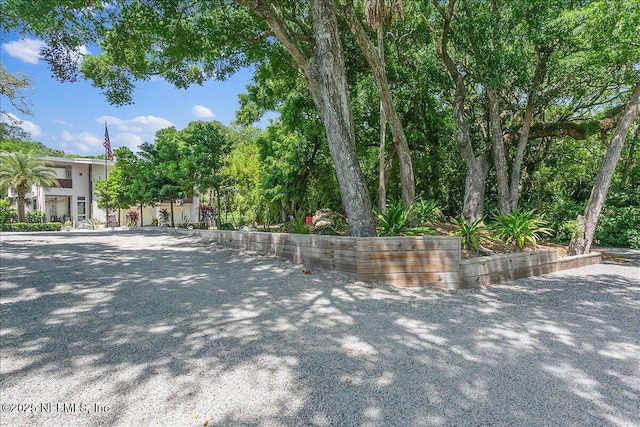 2446 Seminole Rd, Atlantic Beach, FL 32233 - view of yard