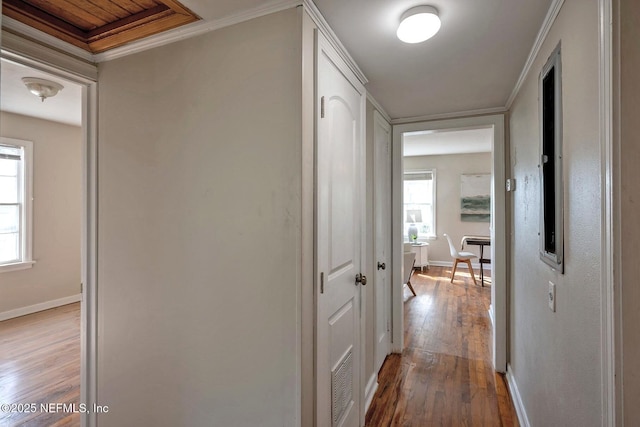 hallway featuring hardwood / wood-style floors, a healthy amount of sunlight, and ornamental molding