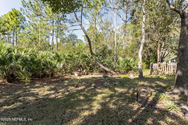 view of yard with fence