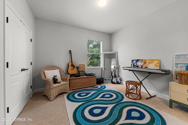 sitting room featuring carpet floors, a textured ceiling, and baseboards