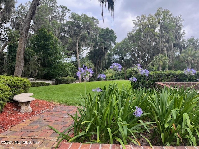 12827 Ft Caroline Rd, Jacksonville, FL 32225 - photo 13