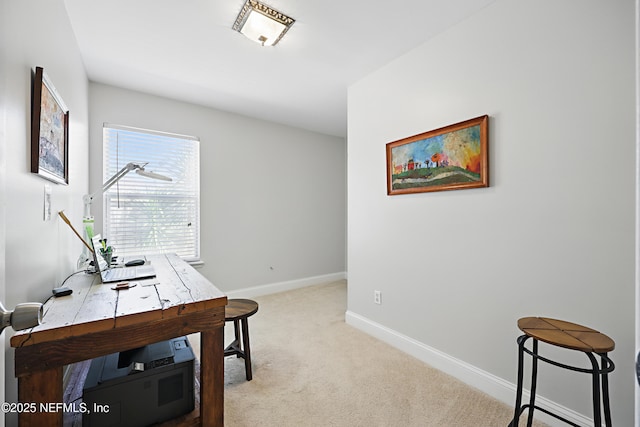 12351 Burgess Hill Cir S, Jacksonville, FL 32246 - photo 20