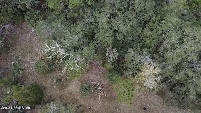 173 Deer Run Rd, Satsuma FL, 32189 land for sale