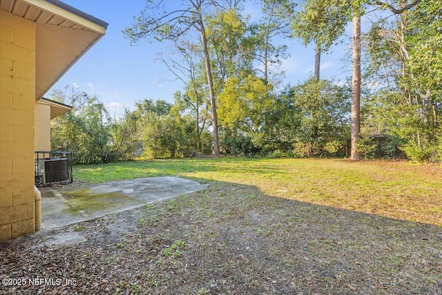 view of yard featuring a patio area