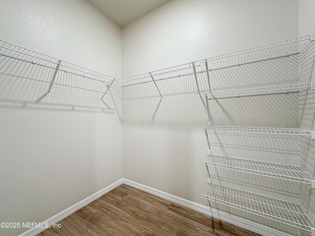 walk in closet featuring wood finished floors