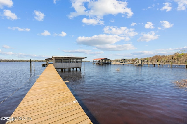 dock area with a water view