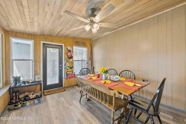 dining space featuring light wood-style floors, wooden ceiling, wood walls, and a ceiling fan