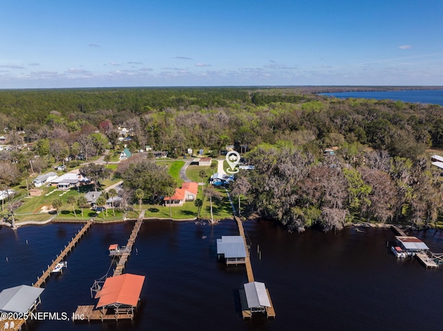 drone / aerial view with a water view and a forest view