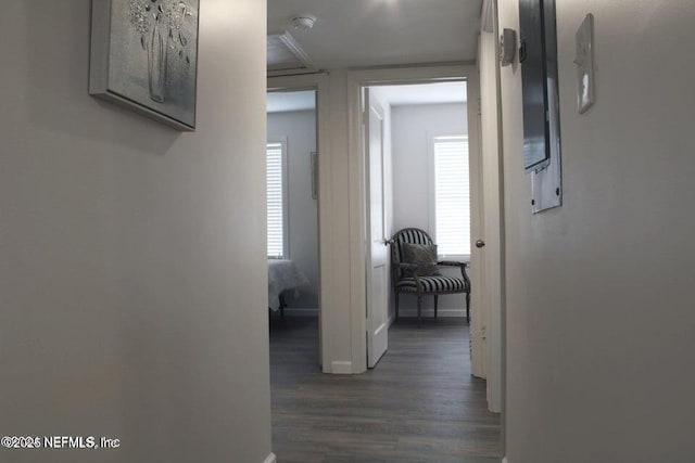 hall featuring baseboards and dark wood finished floors