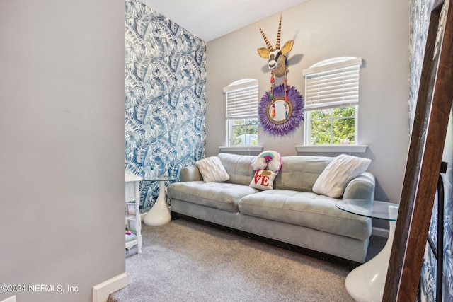 living area with carpet flooring