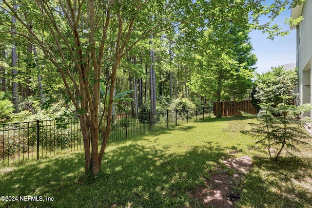 view of yard featuring a fenced backyard