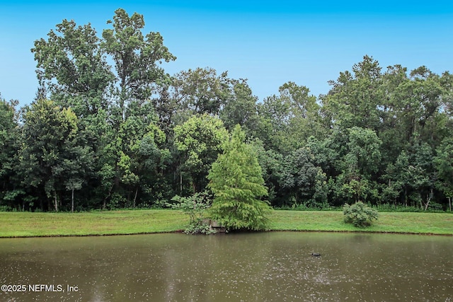 view of water feature