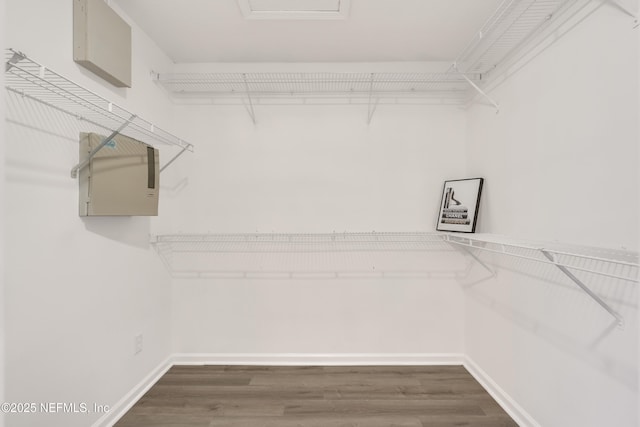 walk in closet featuring wood finished floors