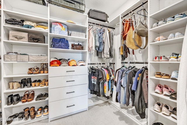 walk in closet with light colored carpet