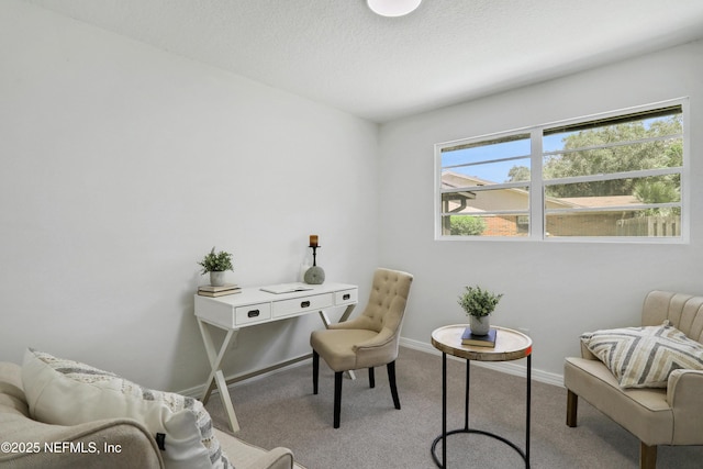 office area with a textured ceiling, carpet floors, and baseboards