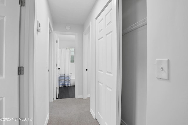 corridor with light carpet and baseboards