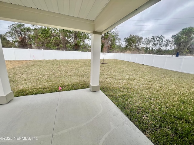 view of yard with a patio area and a fenced backyard