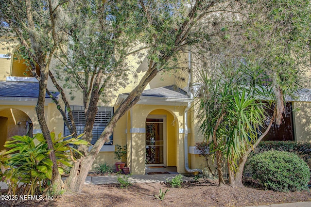 doorway to property featuring roof with shingles and stucco siding