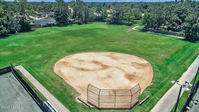 bird's eye view