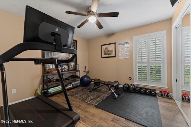 exercise room featuring ceiling fan and wood finished floors