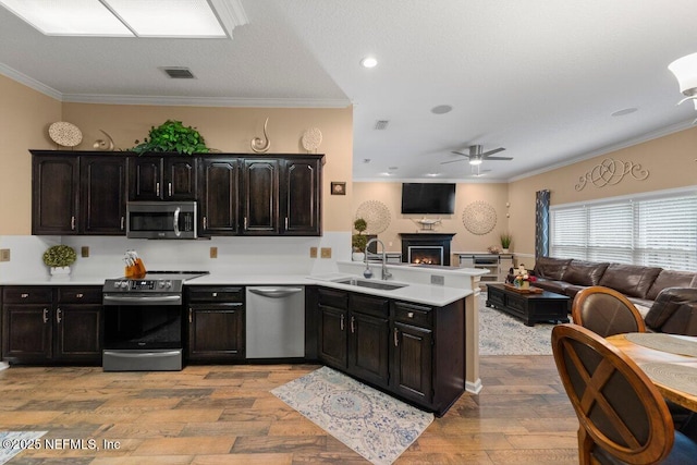 kitchen with a warm lit fireplace, appliances with stainless steel finishes, open floor plan, and a sink