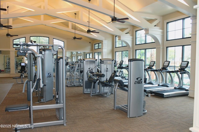 gym featuring high vaulted ceiling, a healthy amount of sunlight, and carpet flooring