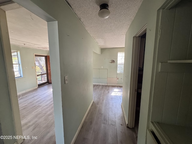 hallway featuring a wealth of natural light, a textured ceiling, baseboards, and wood finished floors