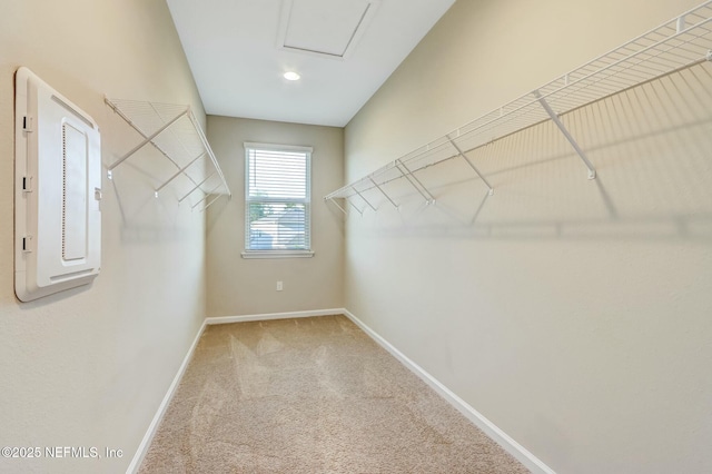 454 Pine Bluff Dr, Saint Augustine, FL 32092 - spacious closet with carpet and electric panel