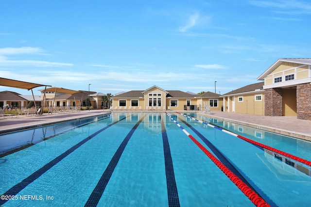 pool with a residential view and a patio