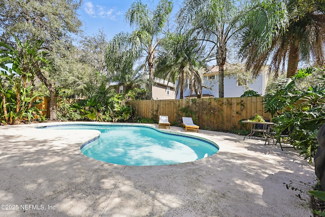 view of swimming pool with a patio area, a fenced backyard, and a fenced in pool