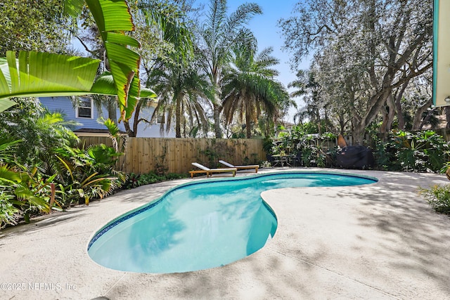 view of pool with a patio area, a fenced backyard, and a fenced in pool