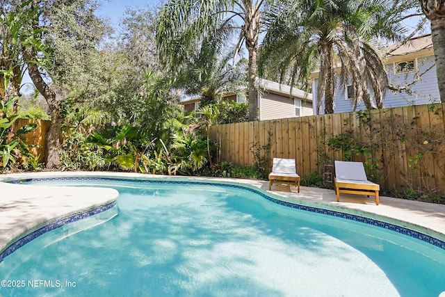 view of pool with a patio area, a fenced backyard, and a fenced in pool