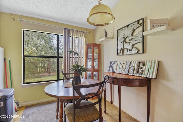 dining area with a textured ceiling, carpet, a wealth of natural light, and baseboards