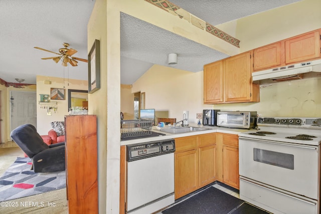 kitchen featuring a textured ceiling, under cabinet range hood, white appliances, a sink, and light countertops