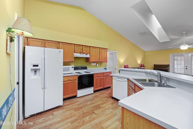 kitchen with white appliances, under cabinet range hood, light countertops, and a sink