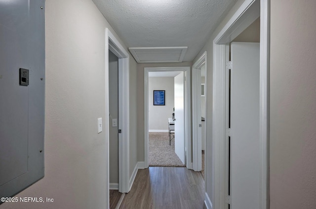 hallway featuring attic access, electric panel, baseboards, a textured ceiling, and light wood-type flooring