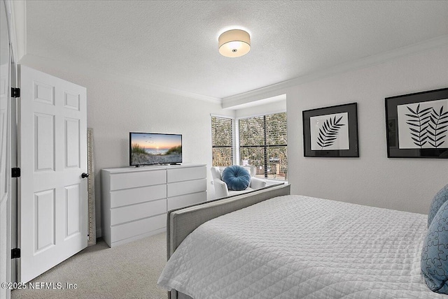 bedroom with carpet, a textured ceiling, crown molding, and a textured wall