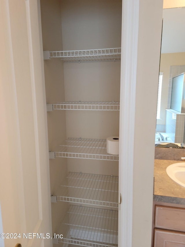 pantry with a sink