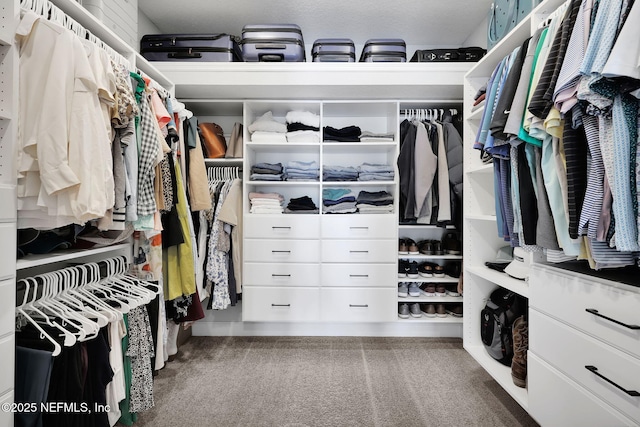 walk in closet featuring carpet floors