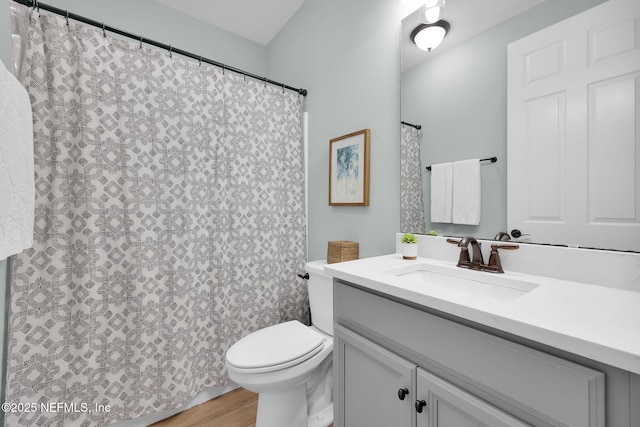 full bath featuring toilet, vanity, and wood finished floors