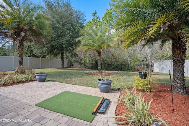 view of yard featuring a patio area and a fenced backyard