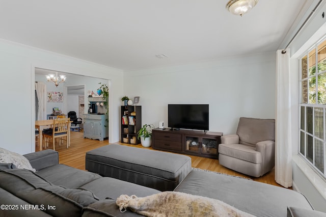 living room featuring crown molding, a notable chandelier, and wood finished floors